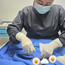 esterilizacion-suyandchen-real250